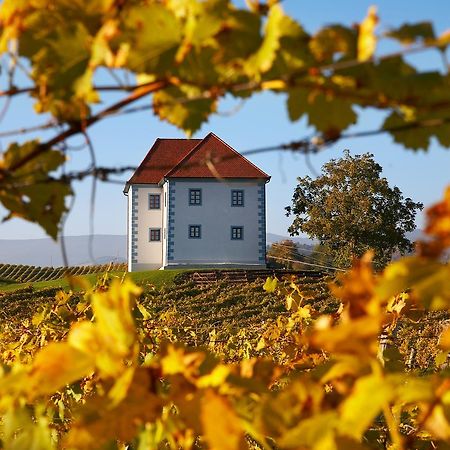 Wine Grower'S Mansion Zlati Gric Apartman Slovenske Konjice Kültér fotó