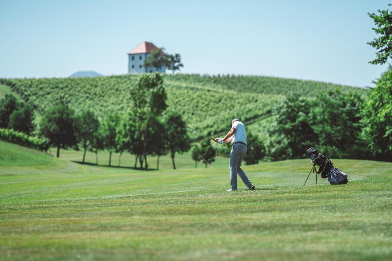 Wine Grower'S Mansion Zlati Gric Apartman Slovenske Konjice Kültér fotó