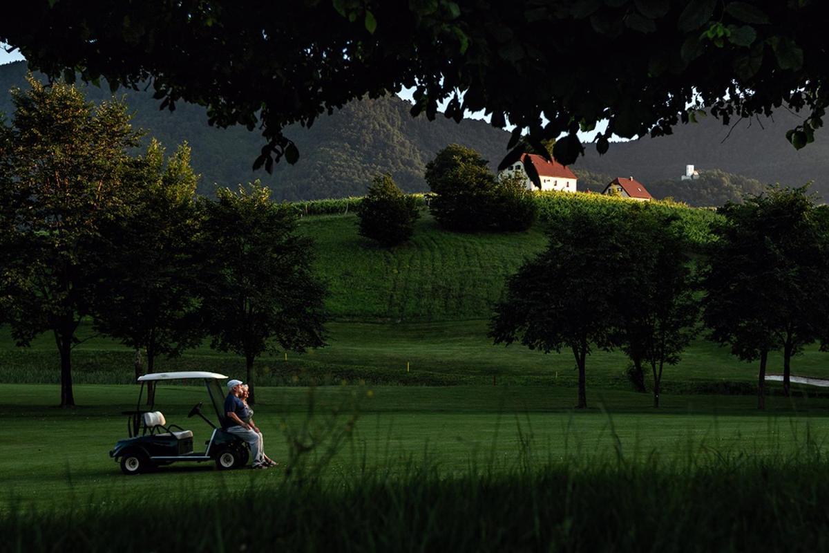 Wine Grower'S Mansion Zlati Gric Apartman Slovenske Konjice Kültér fotó