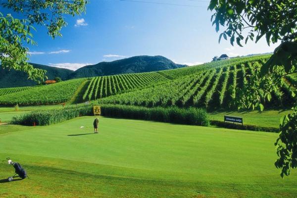 Wine Grower'S Mansion Zlati Gric Apartman Slovenske Konjice Kültér fotó