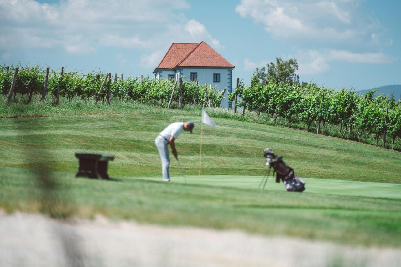 Wine Grower'S Mansion Zlati Gric Apartman Slovenske Konjice Kültér fotó