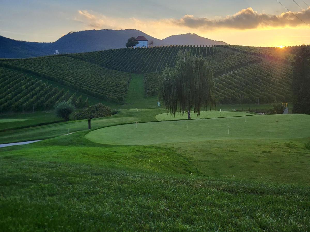 Wine Grower'S Mansion Zlati Gric Apartman Slovenske Konjice Kültér fotó