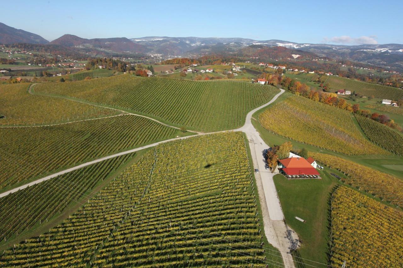 Wine Grower'S Mansion Zlati Gric Apartman Slovenske Konjice Kültér fotó