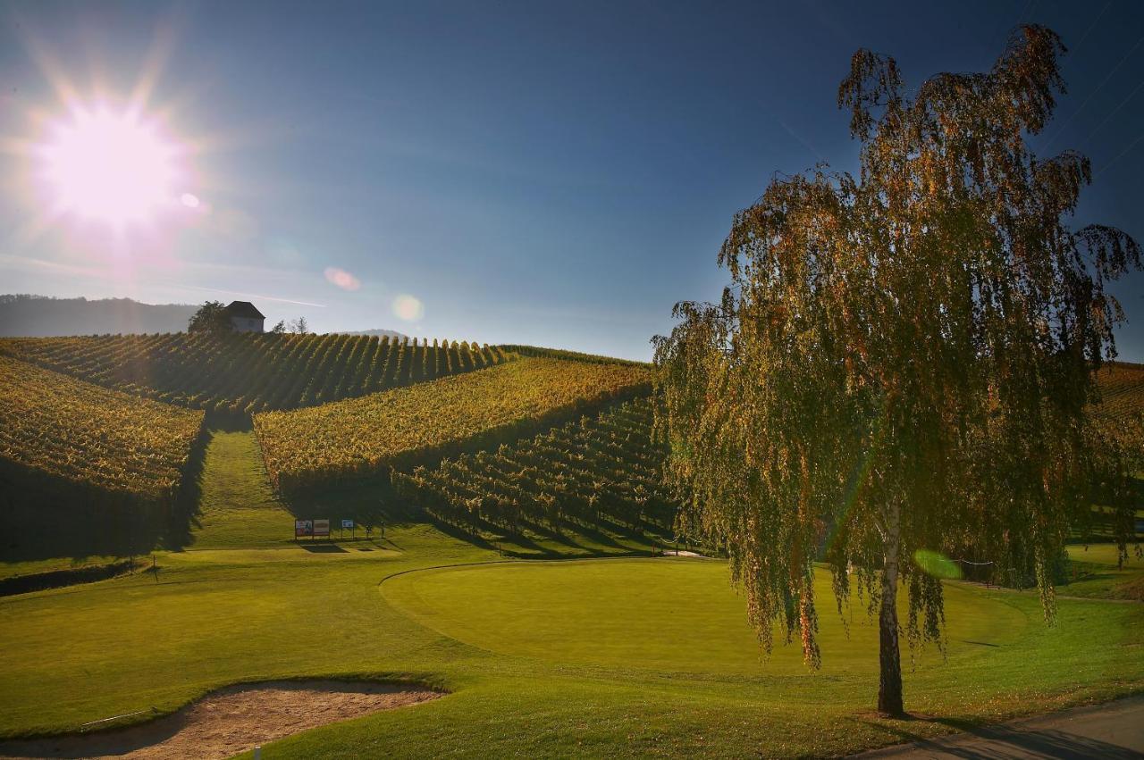 Wine Grower'S Mansion Zlati Gric Apartman Slovenske Konjice Kültér fotó