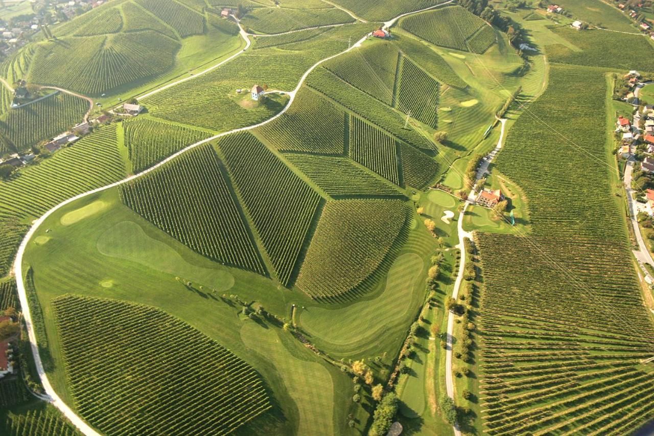 Wine Grower'S Mansion Zlati Gric Apartman Slovenske Konjice Kültér fotó