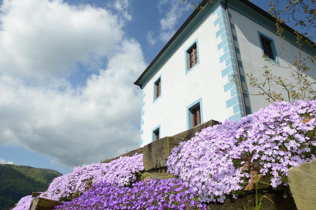 Wine Grower'S Mansion Zlati Gric Apartman Slovenske Konjice Kültér fotó