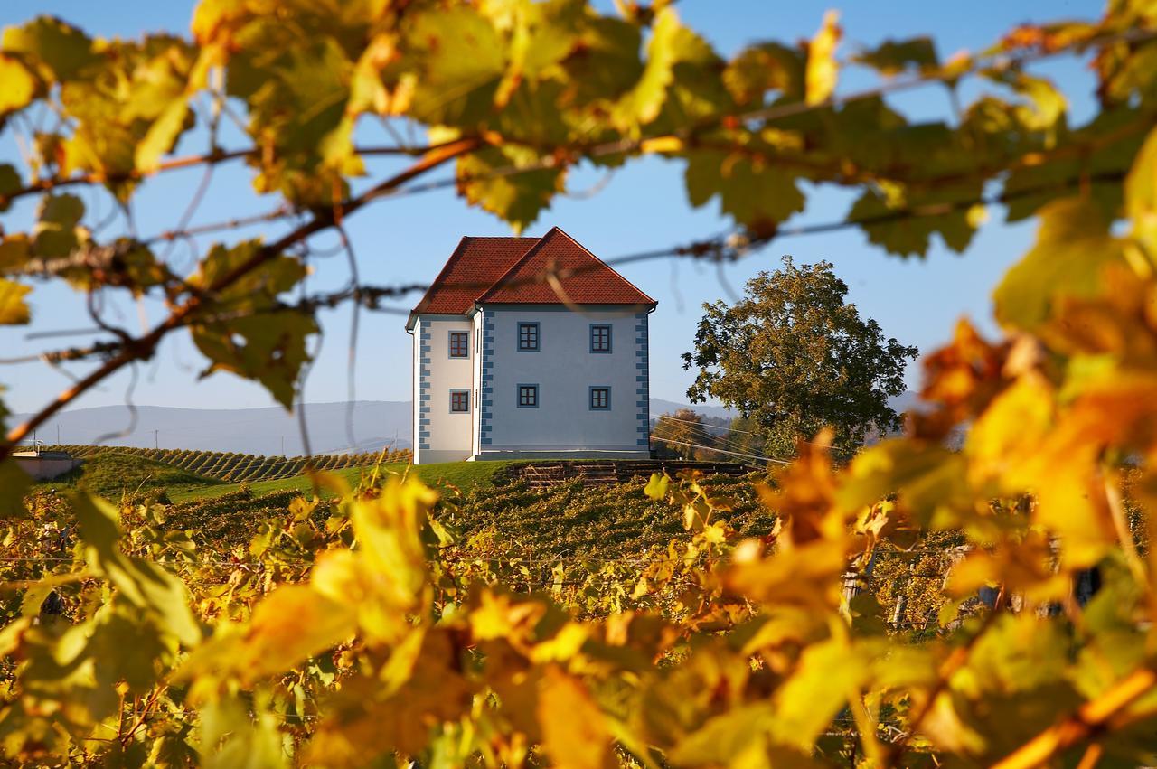 Wine Grower'S Mansion Zlati Gric Apartman Slovenske Konjice Kültér fotó