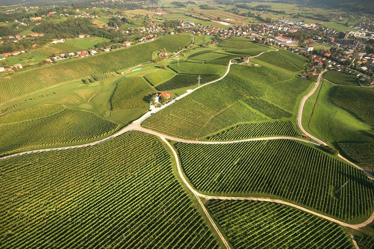 Wine Grower'S Mansion Zlati Gric Apartman Slovenske Konjice Kültér fotó