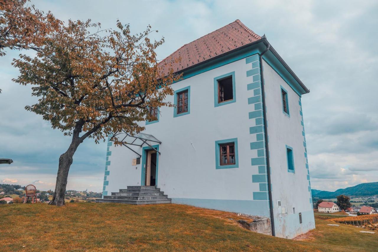 Wine Grower'S Mansion Zlati Gric Apartman Slovenske Konjice Kültér fotó