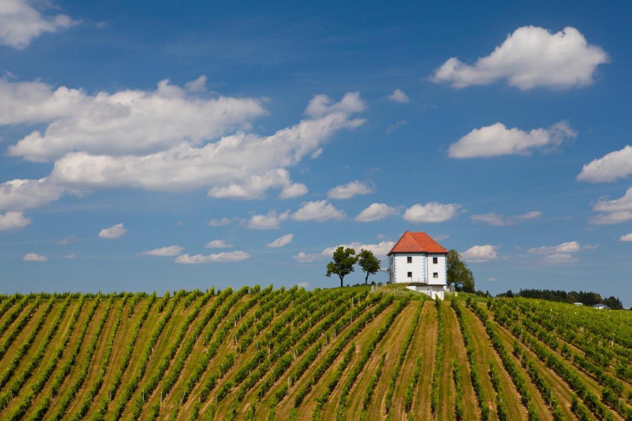 Wine Grower'S Mansion Zlati Gric Apartman Slovenske Konjice Kültér fotó